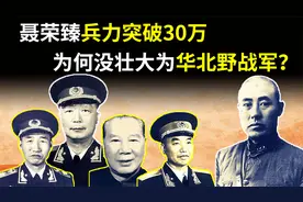 解放战争时，聂荣臻三个兵团突破30万人，为何没壮大为华北野战军视频封面