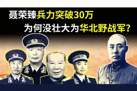 解放战争时，聂荣臻三个兵团突破30万人，为何没壮大为华北野战军视频封面