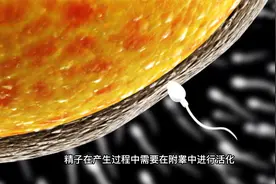 睾丸皮痒痒怎么回事？附睾畸形有什么症状？视频封面