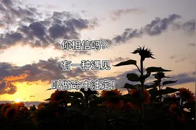 你相信吗？有一种遇见，叫做命中注定！视频封面