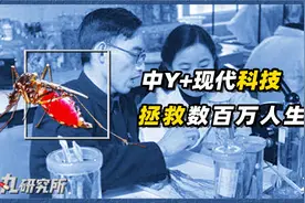 为了消灭这种瘟疫，人类贡献五个诺贝尔奖，蚊子竟是帮凶？（中）视频封面