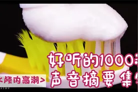 颅内高潮 ✨ 好听的1000种声音摘要集锦