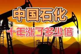 中国石化10年涨了多少倍，分了多少红？视频封面