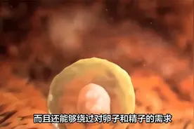 科学家成功合成人类胚胎视频封面