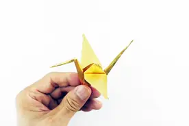 千纸鹤的详细折叠方法，一步一步教你如何折一个千纸鹤视频封面