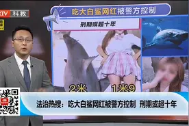 女网红食用大白鲨，属于国家保护动物，刑期或超十年丨法治进行时视频封面