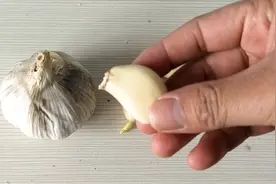 不管嘴里蒜味有多大，学会这个诀窍，蒜味轻松去除，方法太棒了视频封面
