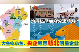 中央上收赣北上饶景德镇九江乐平等6大明星企业，从此赣企变央企视频封面