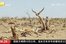 寒旱的中国大西北正出现变暖变湿新趋势，为什么会有这种变化？