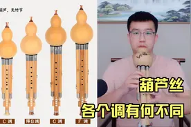 想学葫芦丝，不知道买什么调？刘笛给你详细讲解视频封面