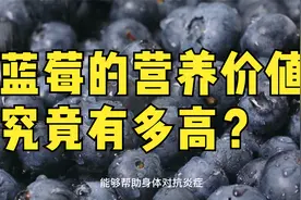 被忽视的水果之王，经常吃蓝莓对身体的九大好处！视频封面