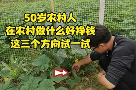 50岁农村人，在农村做什么好挣钱？这三个方向可以试一试视频封面