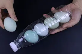 矿泉水瓶不要扔，把鸡蛋塞进里面，没想到这么实用，全家人都夸好视频封面