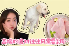 今天给狗子改善伙食，做了4大块水煮鸡胸肉，味道真不错！