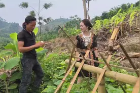 宗先生去帮助金花邻居拔草，顺便摘一些瓜给他们尝尝视频封面