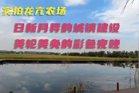 安徽省龙亢农场，蚌埠下一个国家4A级景区，从荒无人烟到美轮美奂视频封面