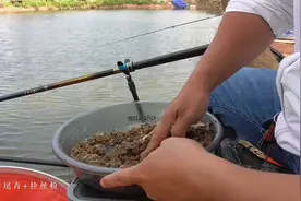 两块钱的鸭饲料加拉丝粉，钓大罗非效果不错，又省下买冷冻饵的钱