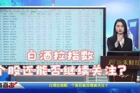 1124盘后解盘：白酒拉指数，个股还能否继续关注？视频封面