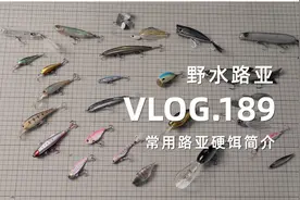 带大家认识各种路亚硬饵，常用的都在这里了视频封面