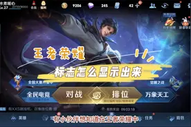 王者荣耀标志怎么显示出来