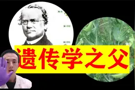 在自己种的豌豆上做杂交实验，现代遗传学之父孟德尔的，天才人生视频封面