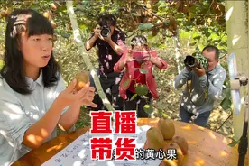 小希去基地直播，引来一群摄影师的围观，宝妈也能宣传家乡特产视频封面