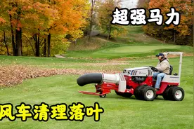 国外发明清理落叶鼓风车，一小时可清理500平方米落叶,原理是什么视频封面