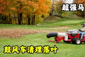 国外发明清理落叶鼓风车，一小时可清理500平方米落叶,原理是什么视频封面