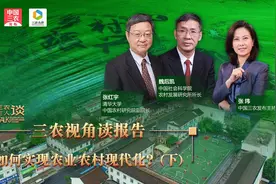 三农视角读报告：如何实现农业农村现代化？（下）视频封面