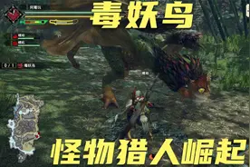 怪物猎人崛起 集会所5星 毒妖鸟 怪鸟系列都有点猛视频封面