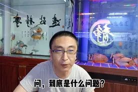 鱼友遇到了稀奇事，一个是金鱼眼睛没了，一个是缸内发现不明物体视频封面