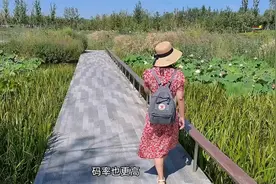 用华为P50 Pro拍摄视频，效果到底怎么样？