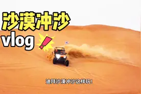 翻车要赔1万人民币，游客却痴迷这样的户外探险视频封面