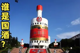 谁是中国人的“国酒”？茅台不是国酒，它的历史不算最悠久的视频封面