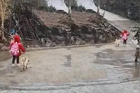 单亲父亲外出打工，7岁小女孩上学无人接送，每天独自往返6公里视频封面