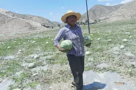 兰州到靖远120公里，沿着黄河探秘风景和美食，去石头地里摘西瓜视频封面
