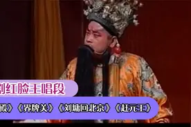 豫剧红脸王唱段《大登殿》《界牌关》《刘墉回北京》《赶元王》视频封面