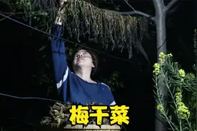 登姑把菠菜三蒸三晒做成梅干菜，来一碗梅菜扣肉不柴不腻太好吃了视频封面