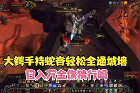 TBC怀旧服猎人全通地狱火城墙 大鳄手持蛇脊日入万金视频封面