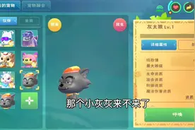 周姐解说：创造与魔法，小灰灰怎么来的！