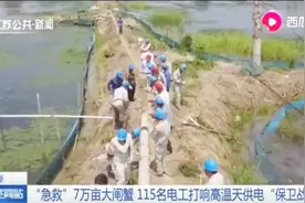 7万亩！为了洪泽湖大闸蟹，115名电工昼夜抢修，人力扶起电线杆视频封面