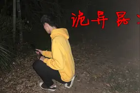 大学生深夜和同学去森林抓虫子，发现剧毒昆虫，吓得不敢再往里走视频封面
