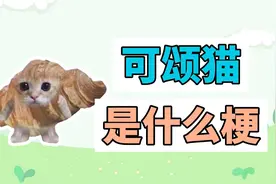可颂猫是什么梗？视频封面