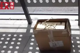 郑州一大爷带猫乘坐公交被拒，直接扔站台上不要了！视频封面