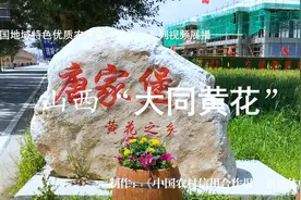 中国地域特色优质农产品系列视频展播——山西“大同黄花”视频封面