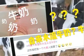 听说内蒙古的水龙头流的是纯牛奶？今天内蒙妹子为你解答！视频封面