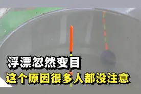 浮漂忽然目数变了，到底是啥原因？多数钓鱼人忽略了这1点视频封面
