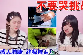 不要哭挑战！这期感人程度让人爆哭，根本停不下来，你能坚持看吗视频封面