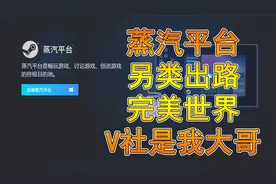 Steam中国蒸汽平台的未来，完美世界转型之痛【华说游戏】视频封面