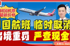⚠️回国航班 临时取消！出境严查现金！《回国抢先看》 第29期视频封面